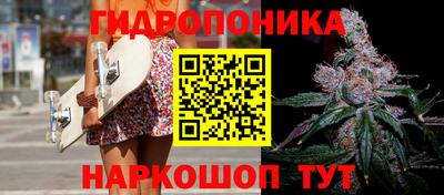 сатива Коммунар