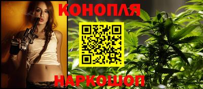 сатива Коммунар