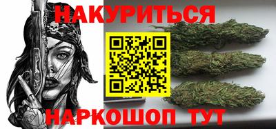 сатива Коммунар