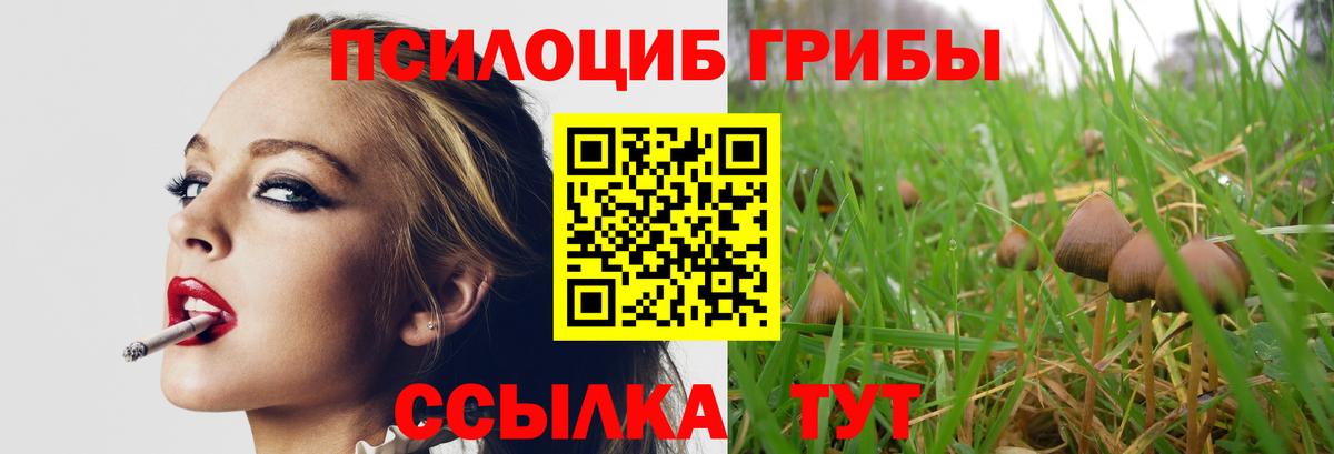 Псилоцибиновые грибы ЛСД  Псилоцибиновые грибы Magic Shrooms  Вход с VPN  Кольчугино 